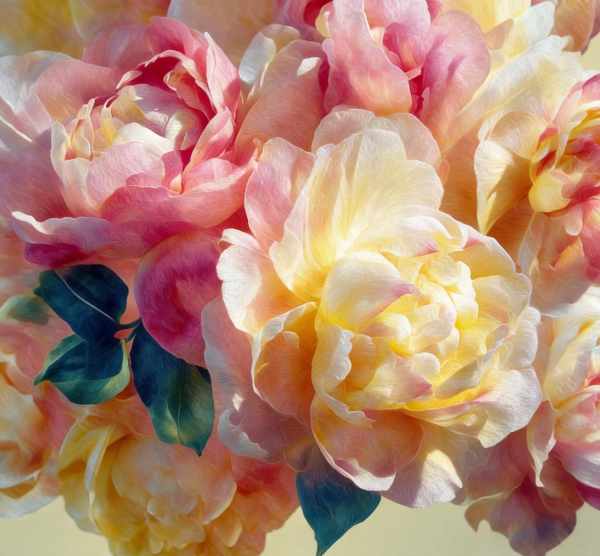 A floral artwork from the Florals collection